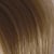 6NW Dark Natural Warm Blonde (Cashmere Collection)