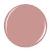 Conscious Camelia (Creme)