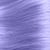 Lavenderapturous