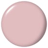 Don't Bossa Nova Me Around (Creme)