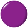 Ultra Violet Daze