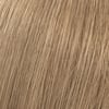 9NA Light Natural Ash Blonde