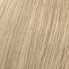 10A Lightest Ash Blonde