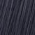 2BBL Blue Black