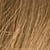 8G Golden Light Blonde