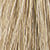 10A Very Light Smoke Ash Blonde