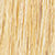 10G Very Light Golden Blonde