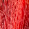 Red Concentrate