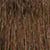 7GB Dark Golden Beige Blonde