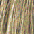 8GB Medium Golden Beige Blonde
