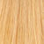 8G/841 Light Golden Blonde