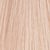 10NG/1070 Honey Beige Blonde