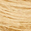 10NN Lightest Neutral Blonde