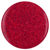 Poinsettia Stardust