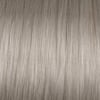 10BA (10.8) - Blue Ash Lightest Blonde