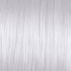 10PV (10.92) - Platinum Violet Lightest Blonde