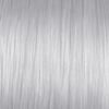 10SB (10.8) - Silver Blue Lightest Blonde