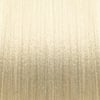 10N Very Light Natural Blonde