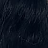 Blue Black Tint