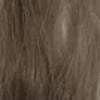 Middle Blonde Tint