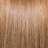 8.34 / 8Gc Light Golden Copper Blonde