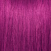 Wild Orchid