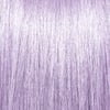 Luscious Lavender