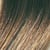 6N Dark Neutral Blonde