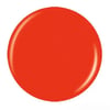 1005 Orange Knockout (Creme)