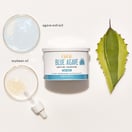 Gigi Blue Agave Soft Wax, 14 oz