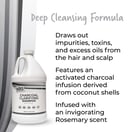 MBS Haircare Charcoal Clarifying Shampoo, Gallon (Duo Pack)