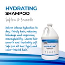 MBS Haircare Hydrating Shampoo & Conditioner, Gallon (Duo Pack)