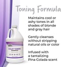 MBS Haircare Violet Toning Shampoo, Gallon