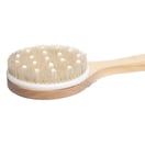 Diane Long Handle Dry Brush