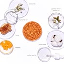 GiGi All Purpose Golden Honee Hard Wax Beads, 14 oz