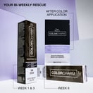 Wella Color Charm Rootxpert 10 Permanent Root Touch Up, 2 oz