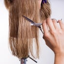 Seki Edge Stainless Steel Haircutting Scissors