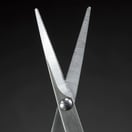 Seki Edge Grooming Scissors