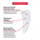 Mirabella Day to Night Moisturizer