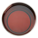 GiGi All Purpose Honee Wax, 14 oz