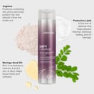 Joico Defy Damage Protective Shampoo, 10.1 oz