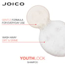 Joico YouthLock Shampoo, 10.1 oz