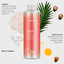 Joico YouthLock Shampoo, Liter
