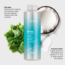 Joico HydraSplash Summer Liter Duo