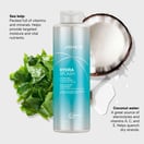 Joico HydraSplash Summer Liter Duo