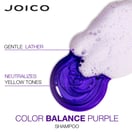 Joico Color Balance Purple Shampoo, 10.1 oz