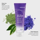 Joico Color Balance Purple Conditioner, 8.5 oz