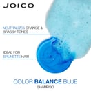 Joico Color Balance Blue Shampoo, 10.1 oz