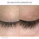 ACTIIV Amplify Lash and Brow Serum, 5 ml