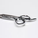 Fromm Shear Artistry Explore Silver Shear 5.75"